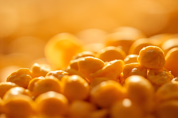 Close-up of grain undergoing feed protein analysis to ensure quality and nutritional value.