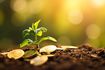 Image representing eCommerce growth as a plant growing from coins, symbolizing financial success.