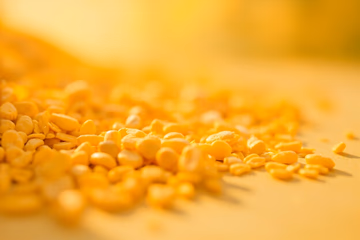 Photorealistic image of grains being analyzed for fat content, showcasing quality control in feed production.