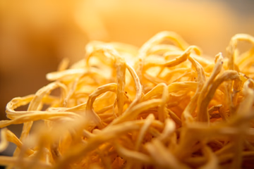 Photorealistic image of intertwined strands, symbolizing food fiber analysis, with a blurred background and warm lighting.