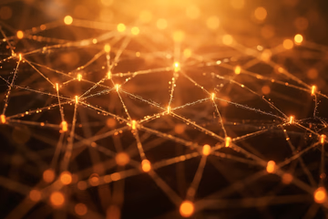 A complex web representing fraud detection, symbolizing interconnected systems and data analysis.